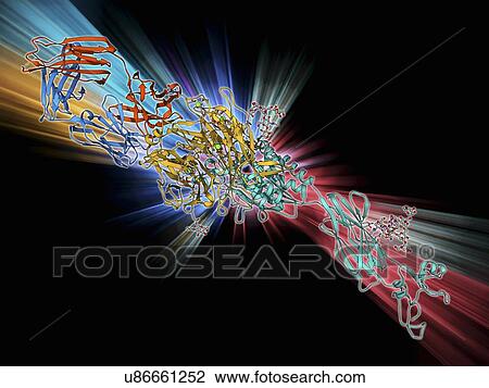 Integrin and fibrinogen complex molecule View Large Illustration Drawing - Integrin and fibrinogen complex molecule. Fotosearch