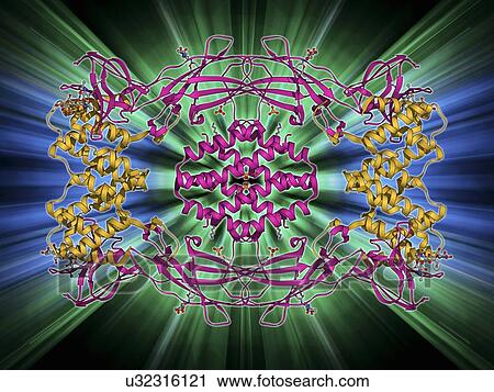 Clip Art - Interferon antagonism by viral protein. Fotosearch