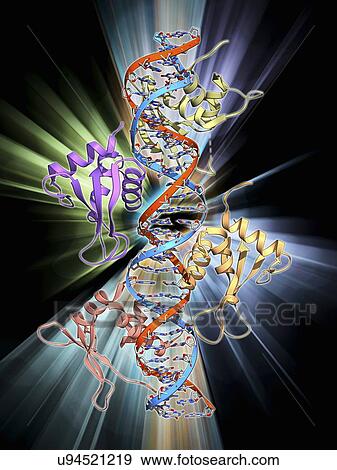 Interferon regulatory factor molecule View Large Illustration Stock Illustration - Interferon regulatory factor molecule. Fotosearch
