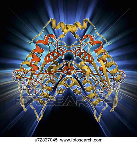 Stock Illustration - Interleukin-1 beta molecule. Fotosearch