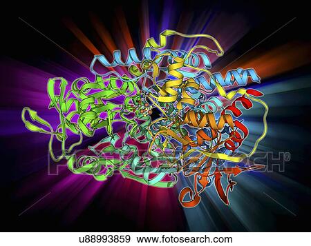 Stock Illustration - Iron-regulatory protein, molecular model. Fotosearch