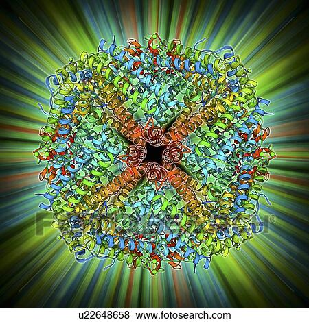 Iron storage molecule View Large Illustration Stock Illustration - Iron storage molecule. Fotosearch
