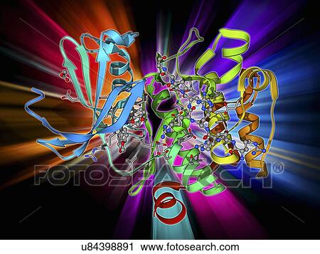 Kinase inhibitor complex View Large Illustration Clip Art - Kinase inhibitor complex. Fotosearch