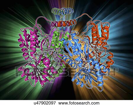 LAC repressor molecule View Large Illustration Stock Illustration - LAC repressor molecule. Fotosearch