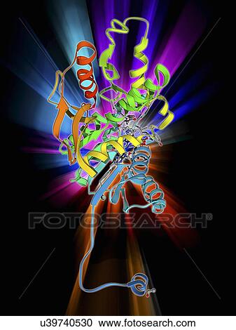 Lactate dehydrogenase enzyme molecule View Large Illustration Clipart - Lactate dehydrogenase enzyme molecule. Fotosearch