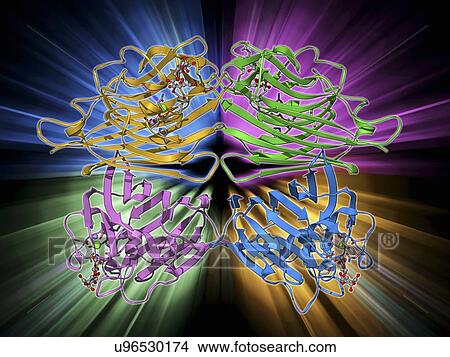 Stock Illustration - Lactose binding protein molecule. Fotosearch