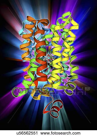 Clip Art - Lactose transporter protein molecule. Fotosearch