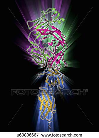 Stock Illustration - Leptin receptor molecule. Fotosearch