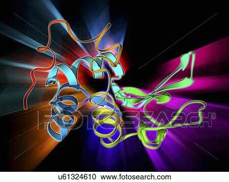Lysozyme molecule View Large Illustration Clipart - Lysozyme molecule. Fotosearch