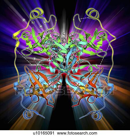 Clip Art - Malignant brain-tumor-like protein. Fotosearch