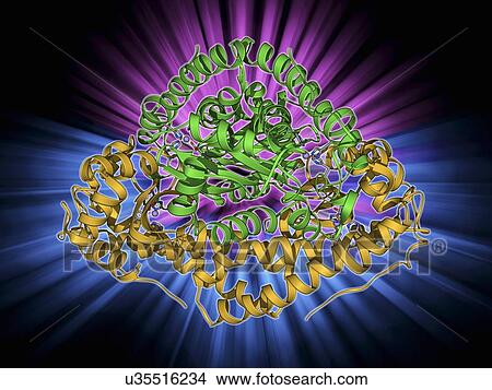 Manganese superoxide dismutase enzyme View Large Illustration Stock Illustration - Manganese superoxide dismutase enzyme. Fotosearch