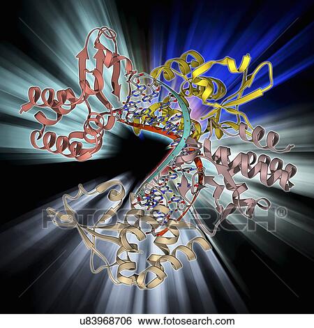 Stock Illustration - Marburg viral protein 35 and RNA. Fotosearch