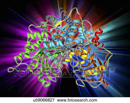 Metabolic enzyme molecule View Large Illustration Stock Illustration - Metabolic enzyme molecule. Fotosearch