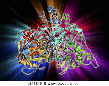 Metabolic enzyme molecule View Large Illustration Stock Illustration - Metabolic enzyme molecule. Fotosearch
