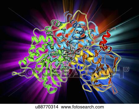 Metabolic enzyme molecule View Large Illustration Stock Illustration - Metabolic enzyme molecule. Fotosearch