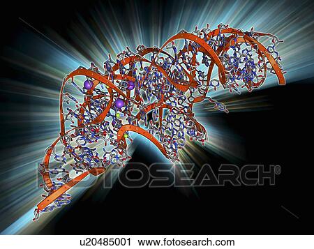 Metal-sensing RNA molecule View Large Illustration Clip Art - Metal-sensing RNA molecule. Fotosearch