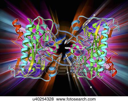 Methionine aminopeptidase molecule View Large Illustration Stock Illustration - Methionine aminopeptidase molecule. Fotosearch