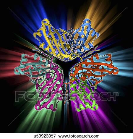 Stock Illustration - MoaC protein molecule. Fotosearch