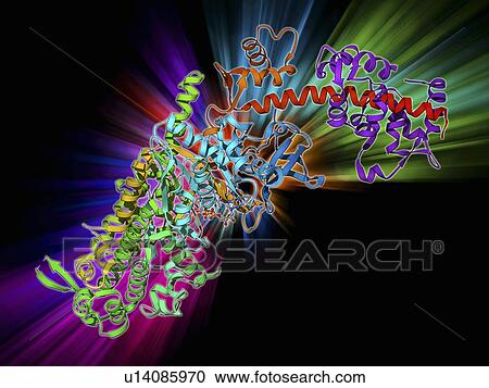 Molecular motor protein View Large Illustration Clipart - Molecular motor protein. Fotosearch