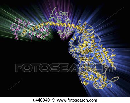 Stock Illustration - Molecular motor protein. Fotosearch