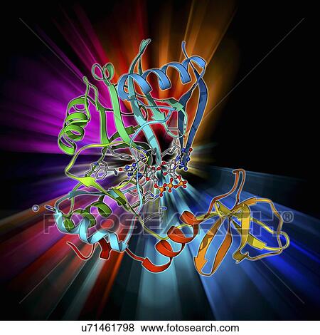 Stock Illustration - mRNA capping enzyme molecule. Fotosearch