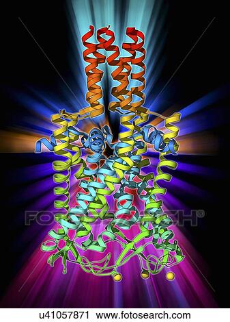 Clip Art - MscL ion channel protein structure. Fotosearch