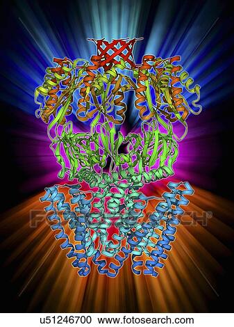 MscS ion channel protein structure View Large Illustration Clipart - MscS ion channel protein structure. Fotosearch