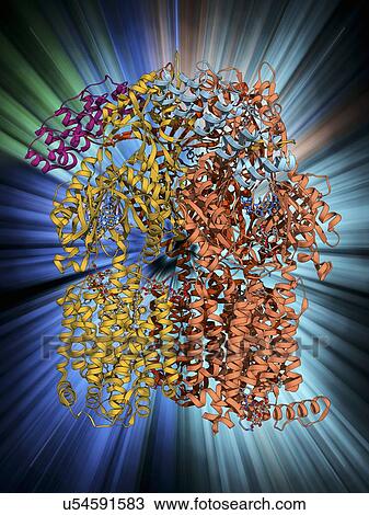 Multidrug efflux pump molecule View Large Illustration Drawing - Multidrug efflux pump molecule. Fotosearch