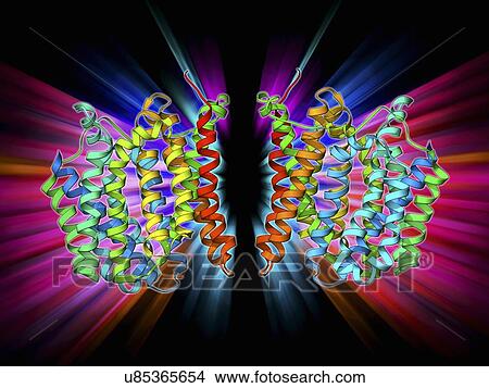 Stock Illustration - Multidrug transporter molecule. Fotosearch