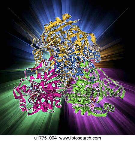 NADP-dependent alcohol dehydrogenase View Large Illustration Stock Illustration - NADP-dependent alcohol dehydrogenase. Fotosearch