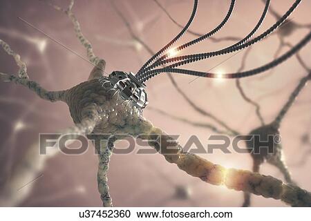 Clipart - Nerve cell network, artwork. Fotosearch