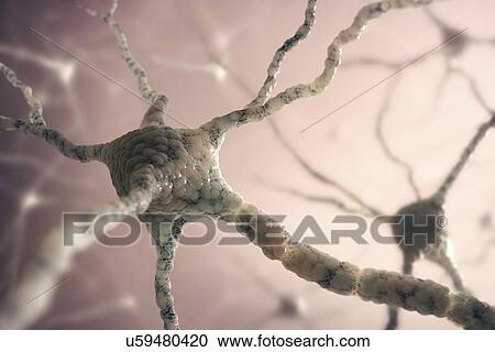 Clipart - Nerve cell network, artwork. Fotosearch