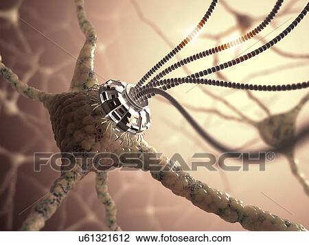 Drawing - Nerve cell network, artwork. Fotosearch