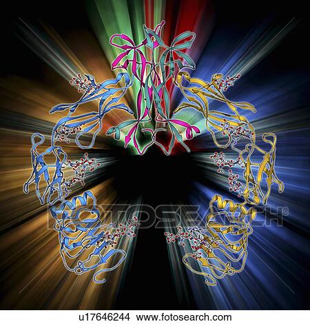 Stock Illustration - Nerve growth factor bound to receptor. Fotosearch