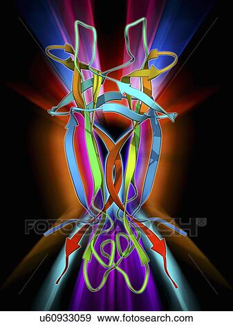 Nerve growth factor molecule View Large Illustration Stock Illustration - Nerve growth factor molecule. Fotosearch