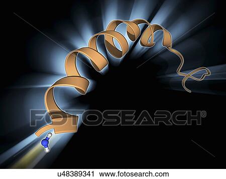 Clip Art - Neuropeptide Y neurotransmitter molecule. Fotosearch