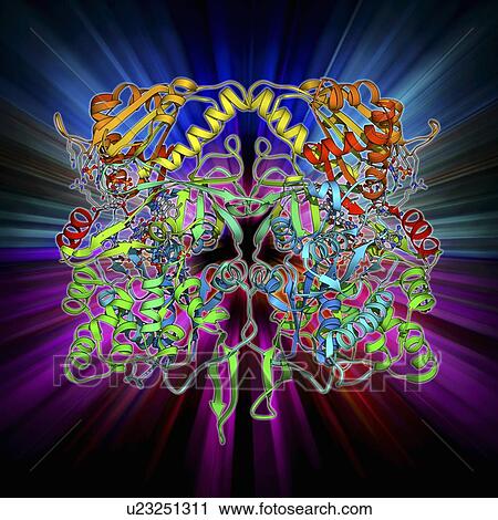 Clip Art - Nitric oxide synthase molecule. Fotosearch