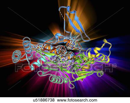 Nitric oxide synthase molecule View Large Illustration Stock Illustration - Nitric oxide synthase molecule. Fotosearch