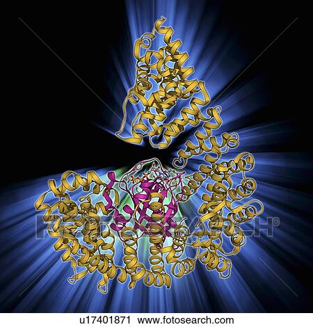 Nuclear import complex molecule View Large Illustration Clip Art - Nuclear import complex molecule. Fotosearch