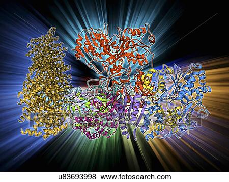 Stock Illustration - Oxidoreductase enzyme complex. Fotosearch