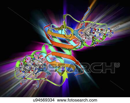 Download Oxytocin and carrier protein Stock Illustration ...