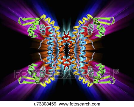 Stock Illustration - Parathion hydrolase enzyme. Fotosearch