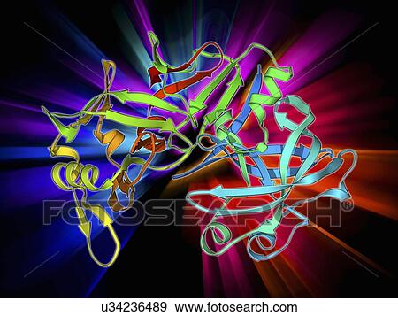 Pepsin stomach enzyme View Large Illustration Stock Illustration - Pepsin stomach enzyme. Fotosearch