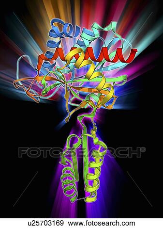 Stock Illustration - Plant hormone regulator, molecular model. Fotosearch