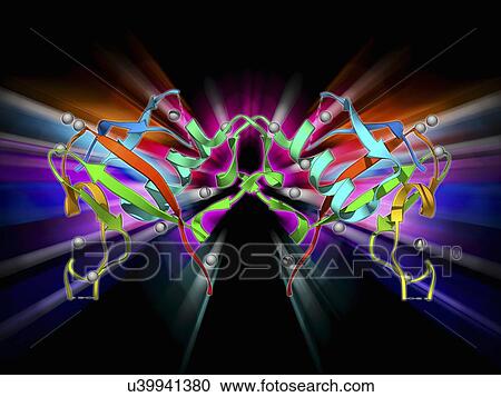 Clipart - Plexin signal transduction molecule. Fotosearch