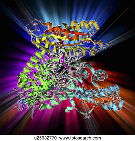 Clipart - PolyA polymerase and RNA. Fotosearch