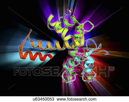 Drawing - Programmed cell death protein 6 molecule. Fotosearch