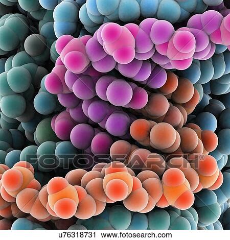 Protein molecules, artwork View Large Illustration Clip Art - Protein molecules, artwork. Fotosearch
