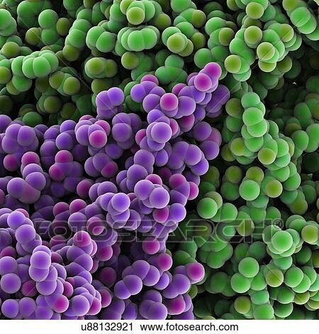 Clip Art - Protein molecules, artwork. Fotosearch