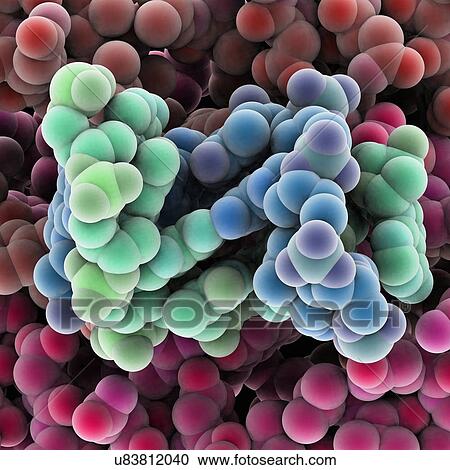 Clipart - Protein molecules, artwork. Fotosearch